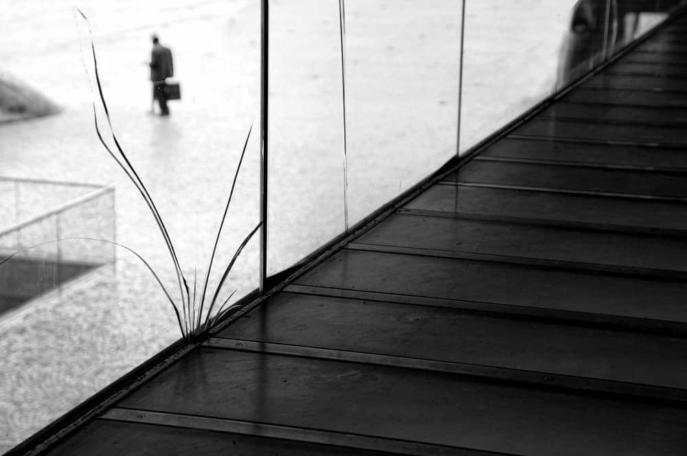 Urban Solitude Growth by Fernando Alves — canvas wall art