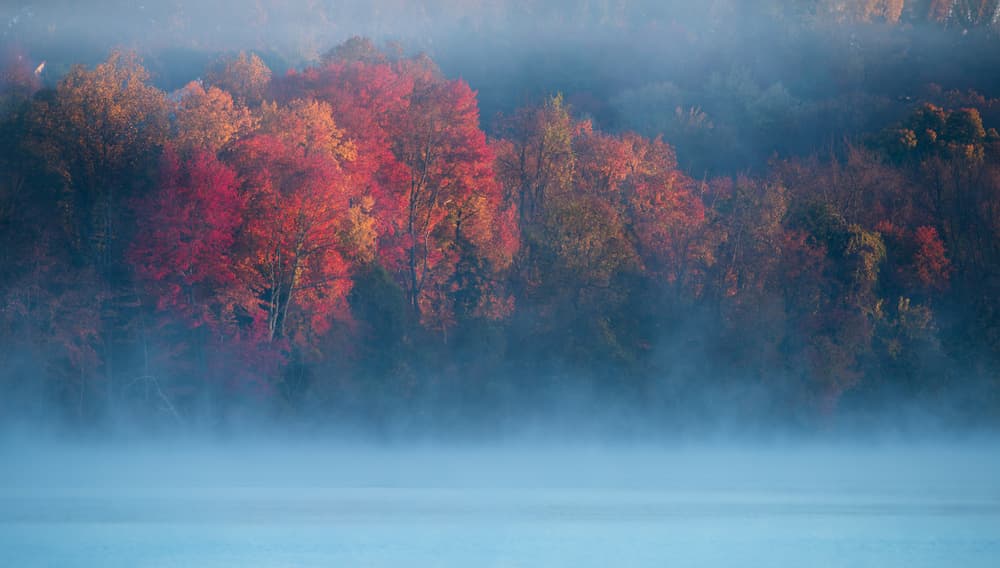 Misty Autumn Lake by 李从军 / Austin Li — canvas wall art