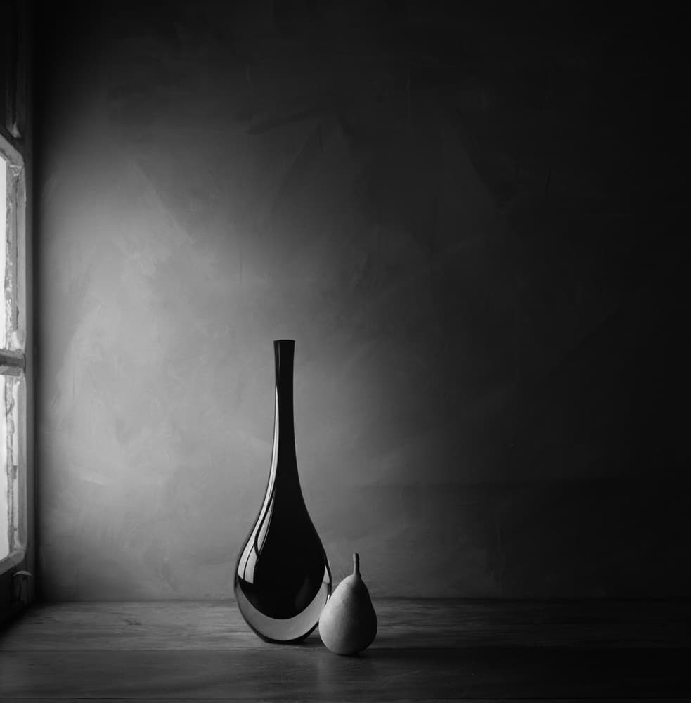 Elegant Vase and Pear by Luiz Laercio — canvas wall art