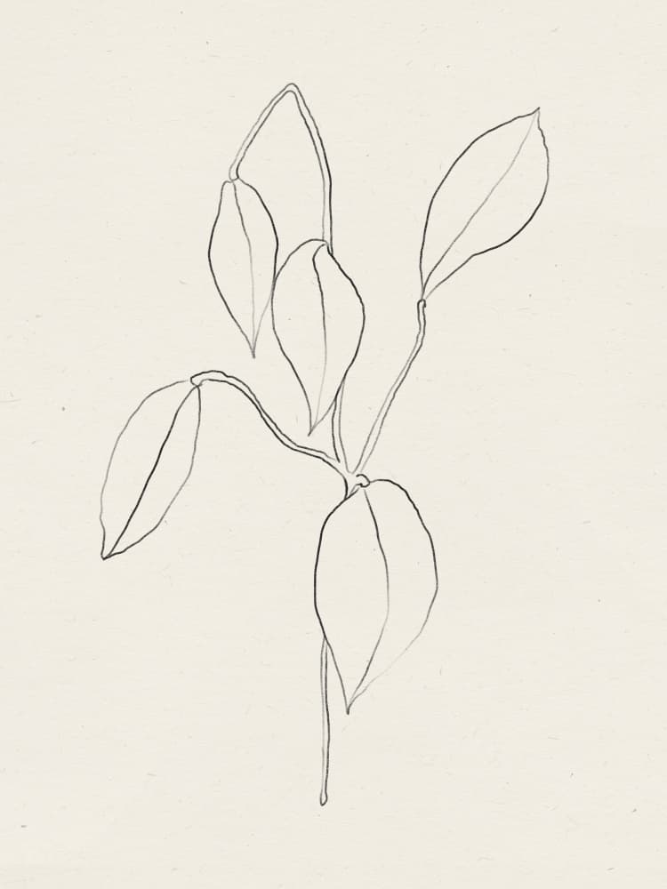 Gentle Leaf Lines by Treechild — canvas wall art