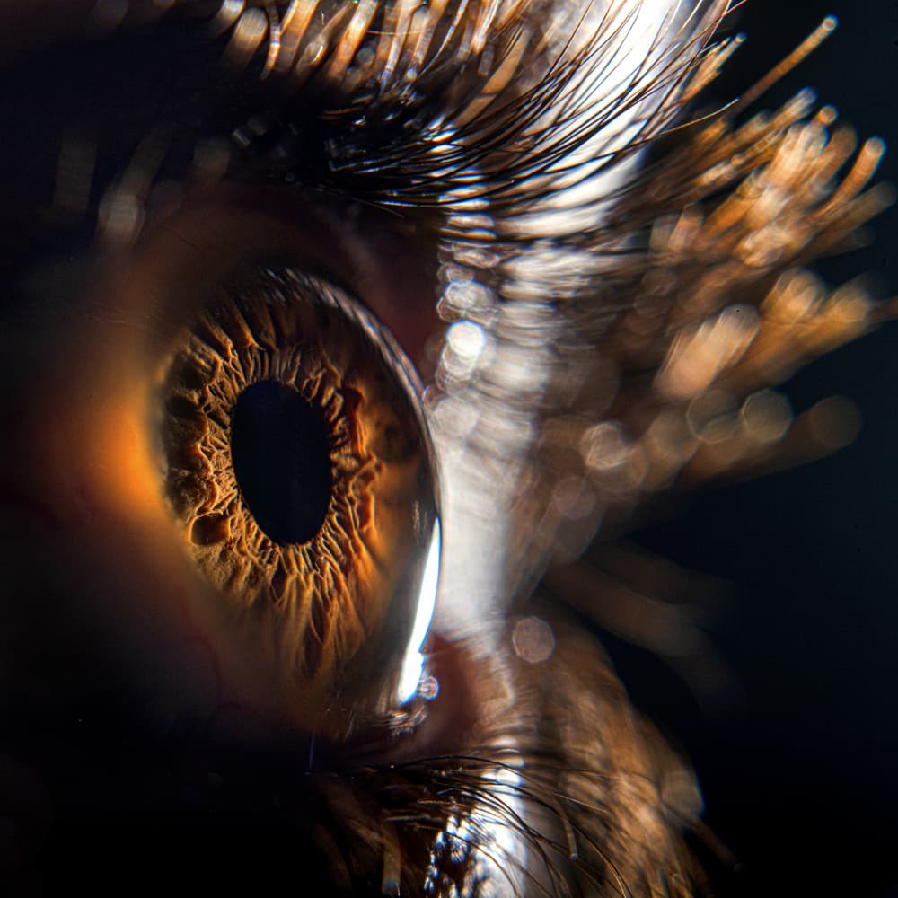 Deep Brown Eye by Abbas Arabzadeh — canvas wall art
