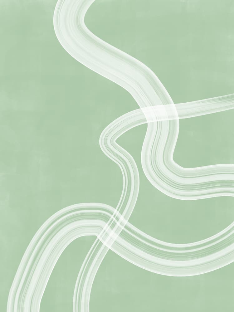 Abstract Sage Curves by Elena Ristova — canvas wall art
