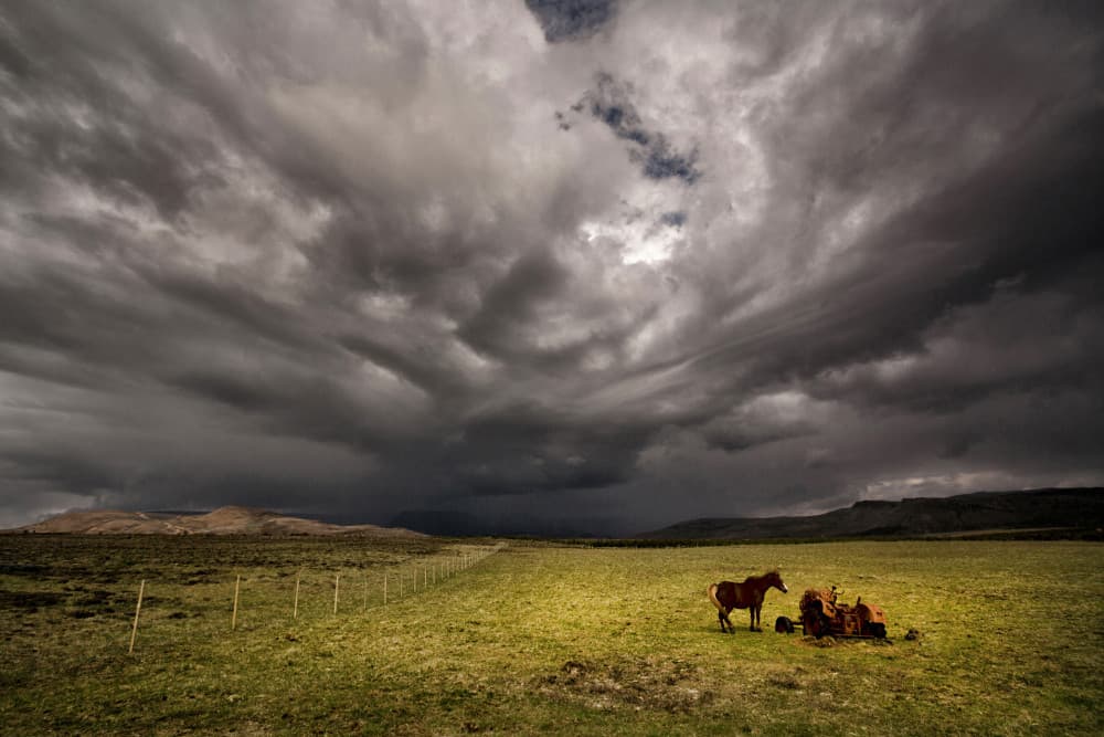 Horses Under Stormy Skies by Þorsteinn H. Ingibergsson — canvas wall art