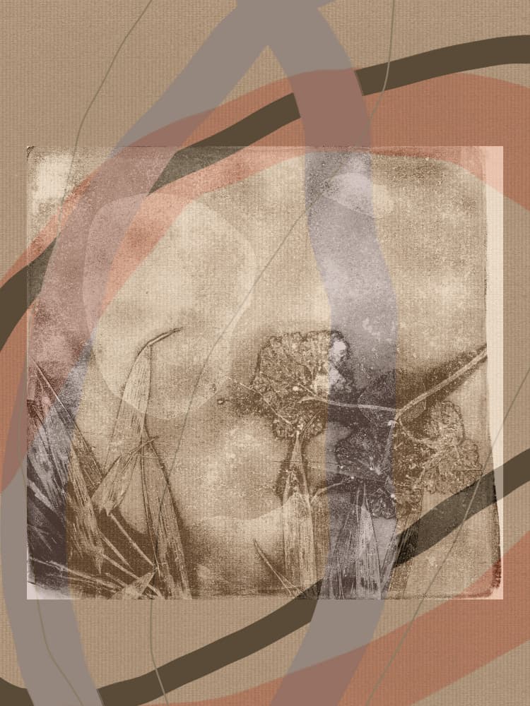 Sepia Dandelion Dream by Dina Dankers — canvas wall art