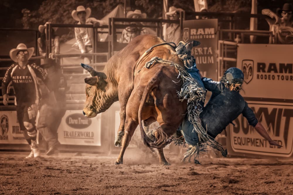 Bull Riding Action by Jennifer Chen APA — canvas wall art