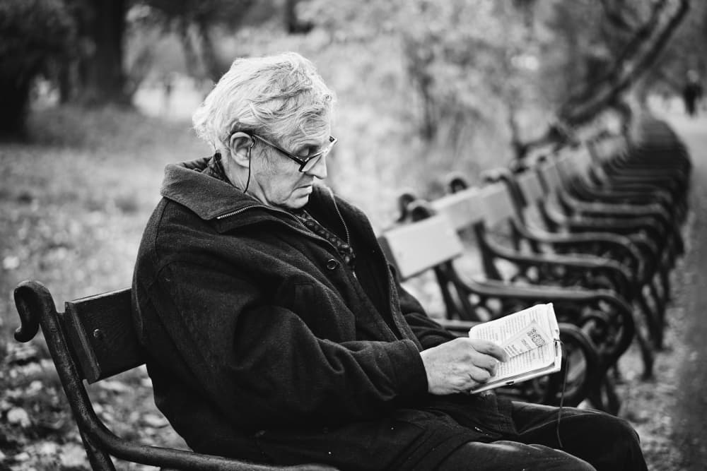 Quiet Read in the Park by Denis Malciu — canvas wall art