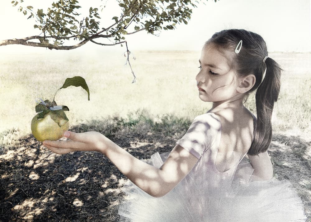 Dreamy Ballerina Apple by Bettina Tautzenberger — canvas wall art