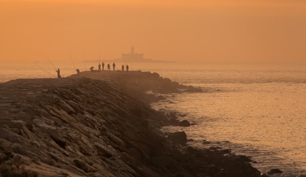 Sunrise Fishing Lighthouse by Paulo Nogueira — canvas wall art