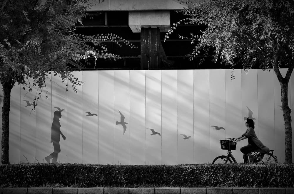 Street Silhouettes And Flight by Reiko kiri — canvas wall art