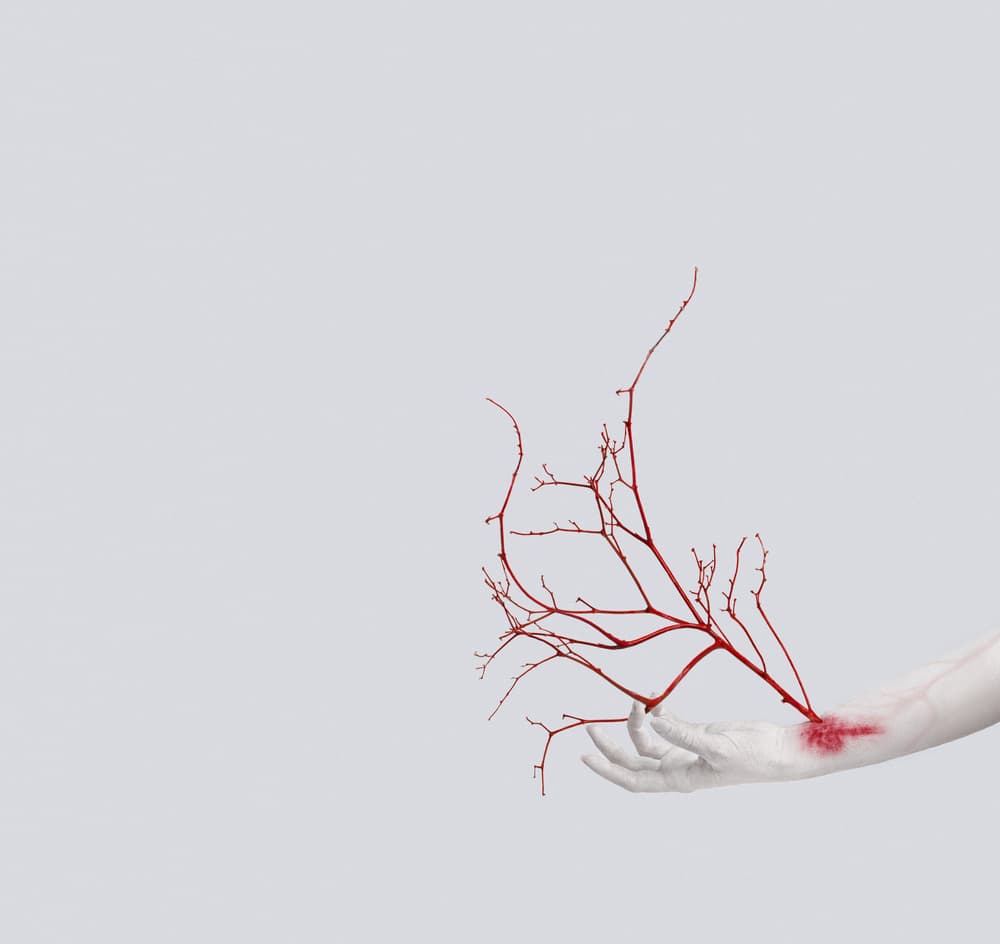 Red Branching Hand by Golubeva Nataly — canvas wall art