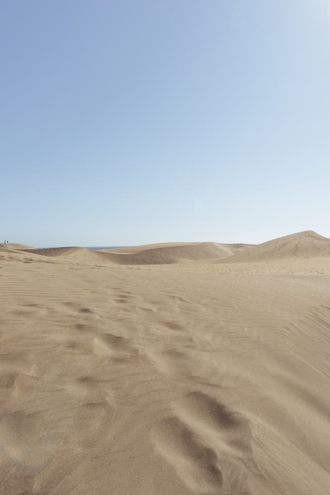 Golden Sand Dunes by Lynann Colligan — canvas wall art