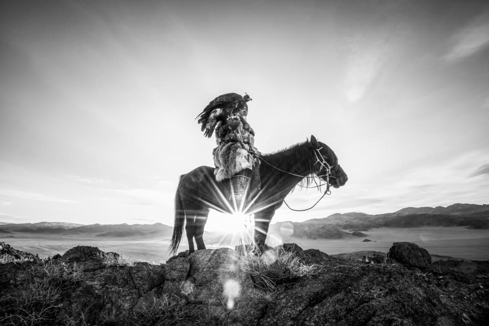 Mongolian Eagle Hunter by ADIREK M — canvas wall art