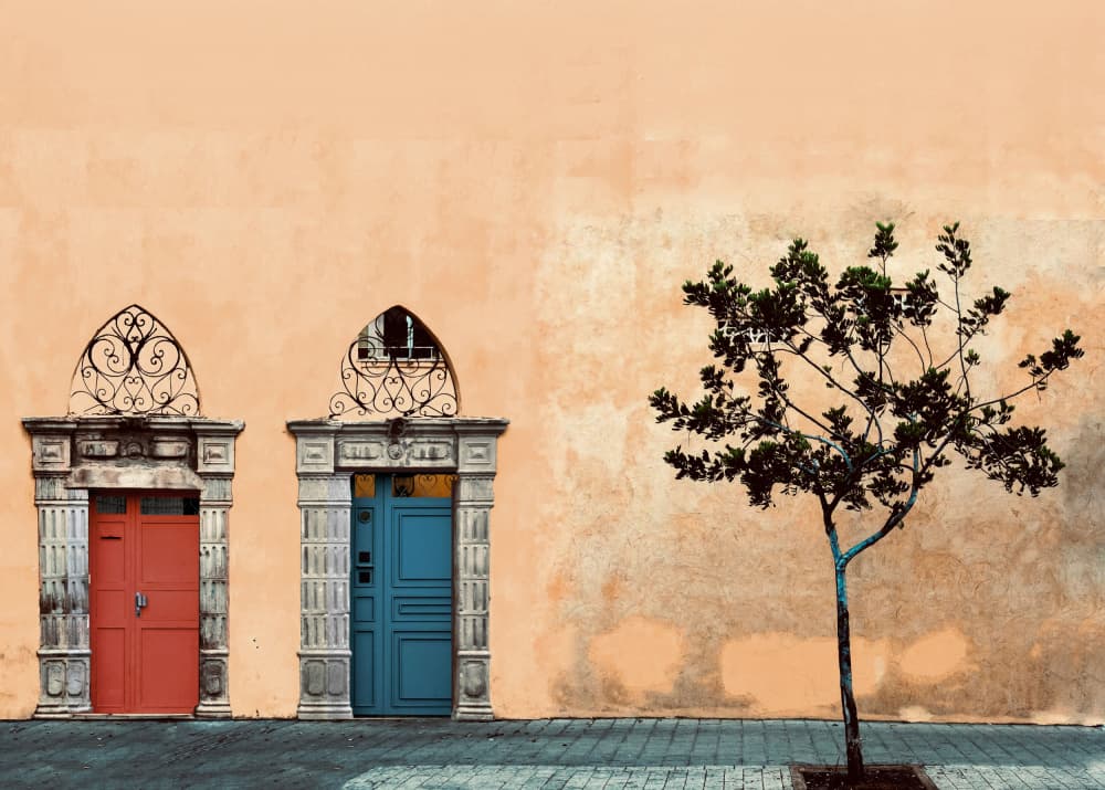 Colorful Doors and Tree by Arnon Orbach — canvas wall art