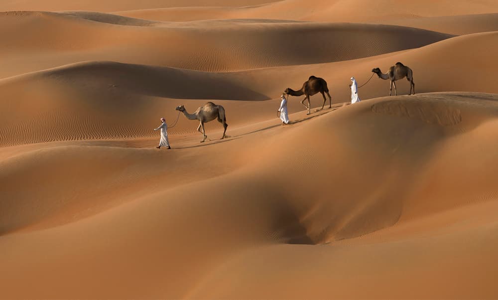 Desert Journey with Camels by Karim Al Thahaby — canvas wall art