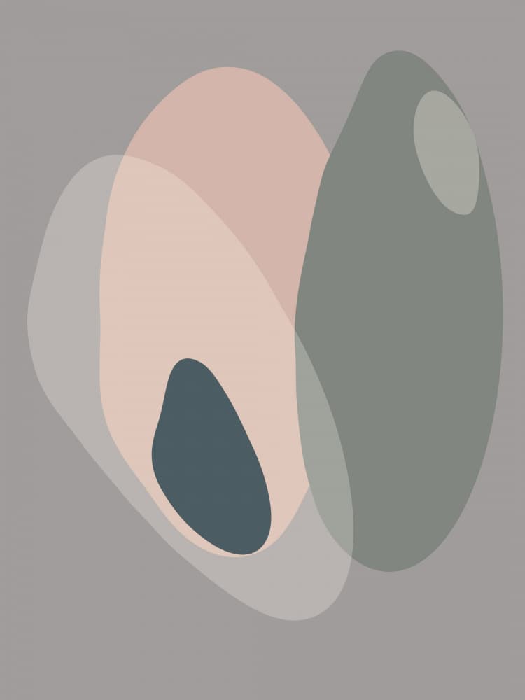 Muted Organic Forms by Bilge Paksoylu — canvas wall art