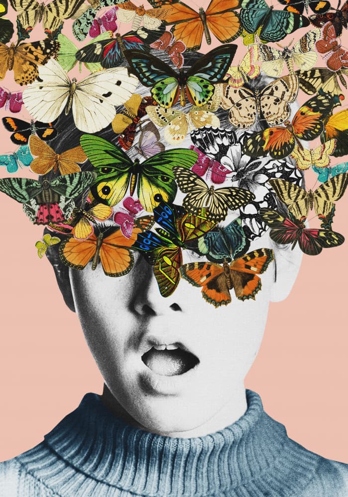 Butterfly Imagination by Frida Floral Studio — canvas wall art