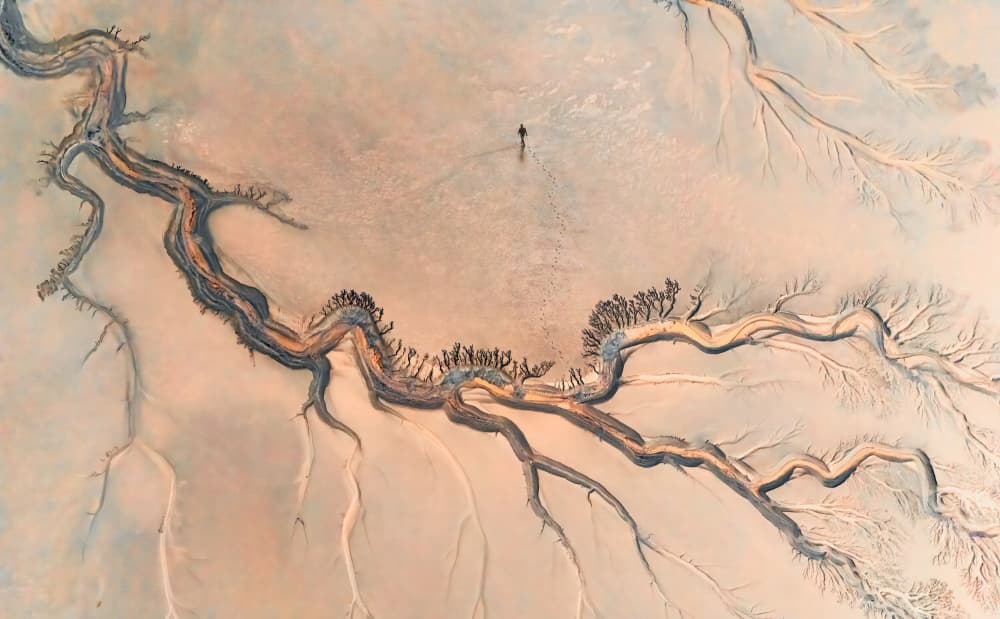 Dryland Wanderer by Aidong Ning — canvas wall art