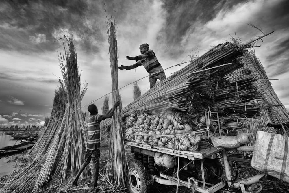 Loading Harvest Bundles by Abhraneel Chakraborty — canvas wall art