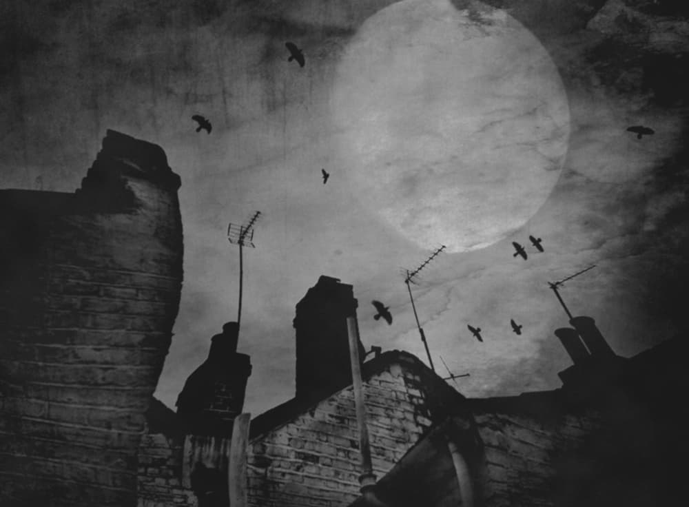Moonlit Rooftop Birds by Robert Fabrowski — canvas wall art