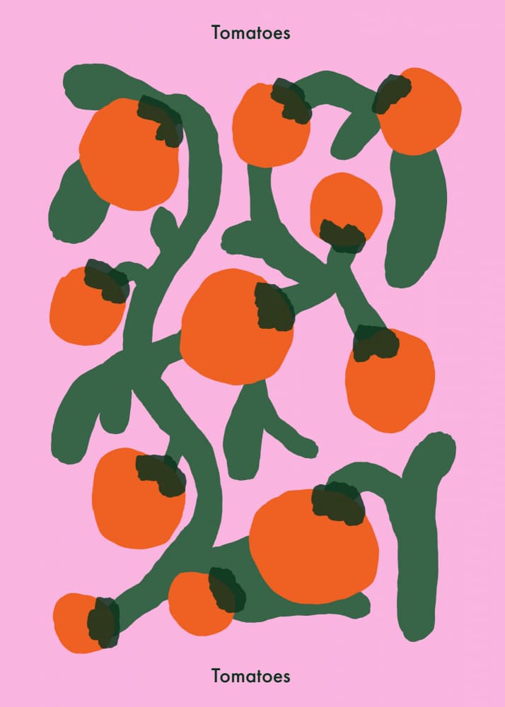 Vibrant Pink Tomatoes by Emma Make — canvas wall art