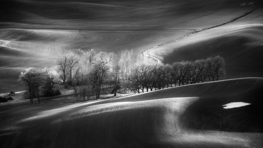 Winter Hills Light by MIN LI — canvas wall art