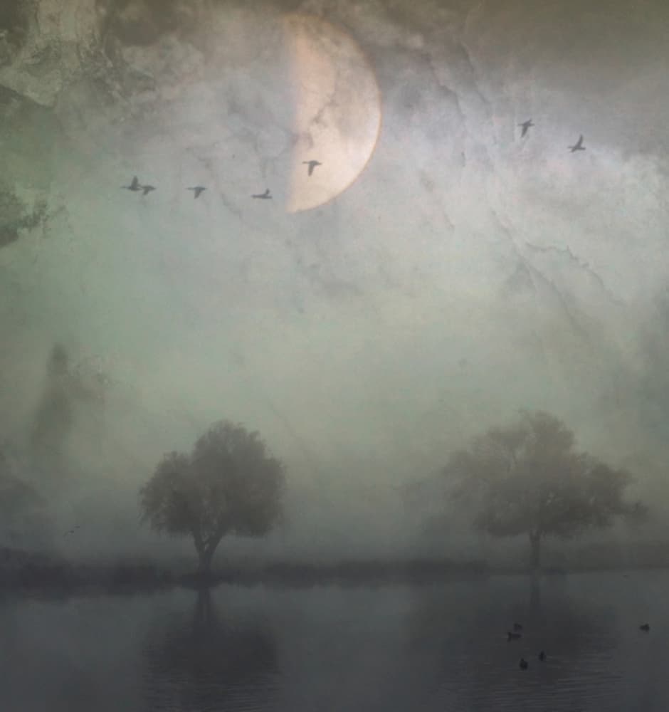 Misty Moon Lake by Robert Fabrowski — canvas wall art