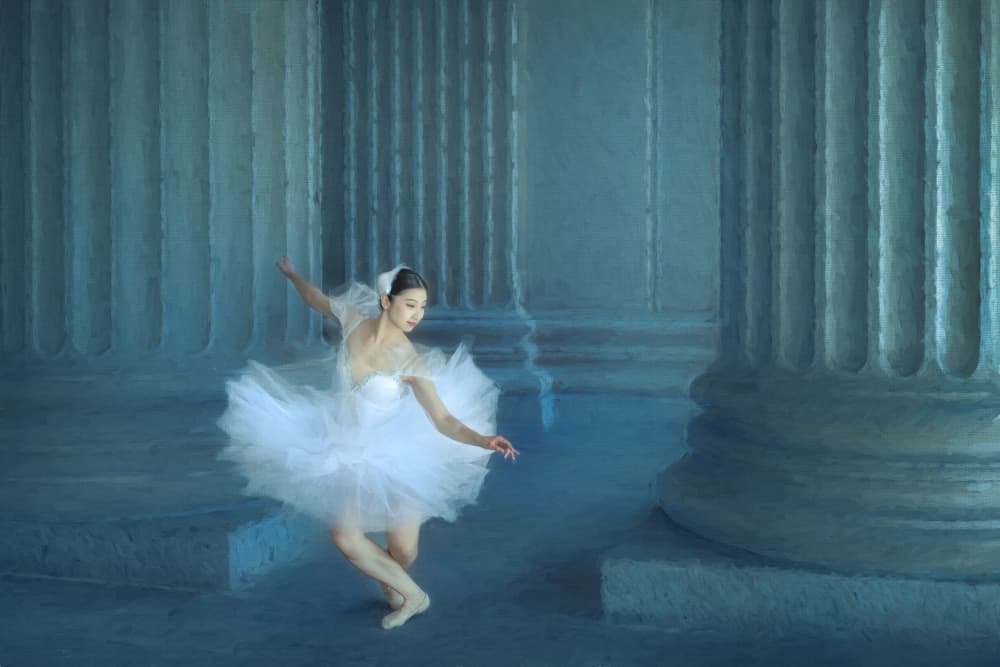 Graceful Ballerina Dance by Catherine Wang — canvas wall art