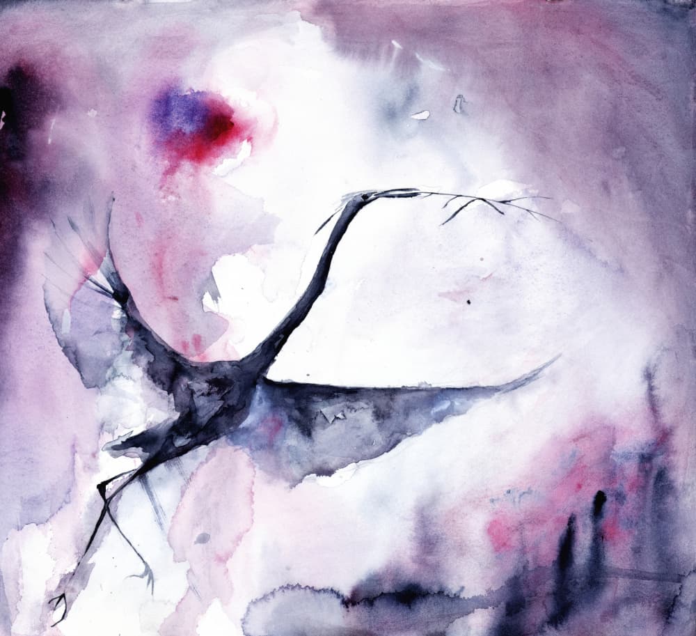 Dreamy Bird Flight by RodMacIver — canvas wall art