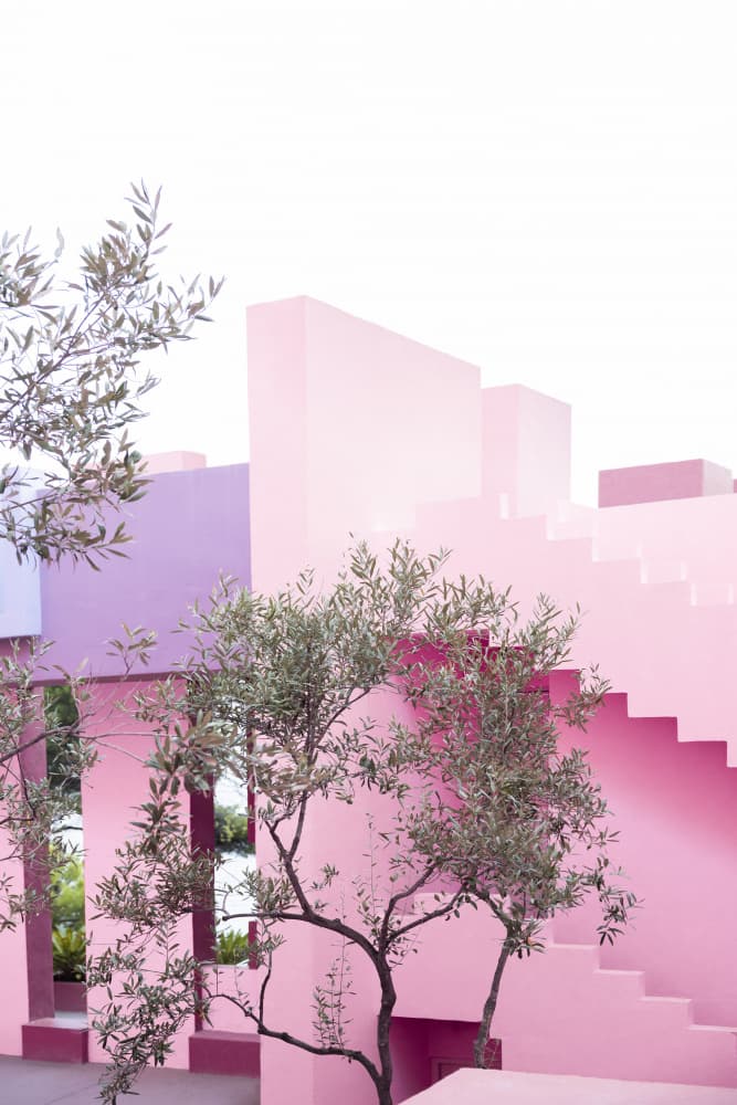 La Muralla Garden by Kathrin Pienaar — canvas wall art