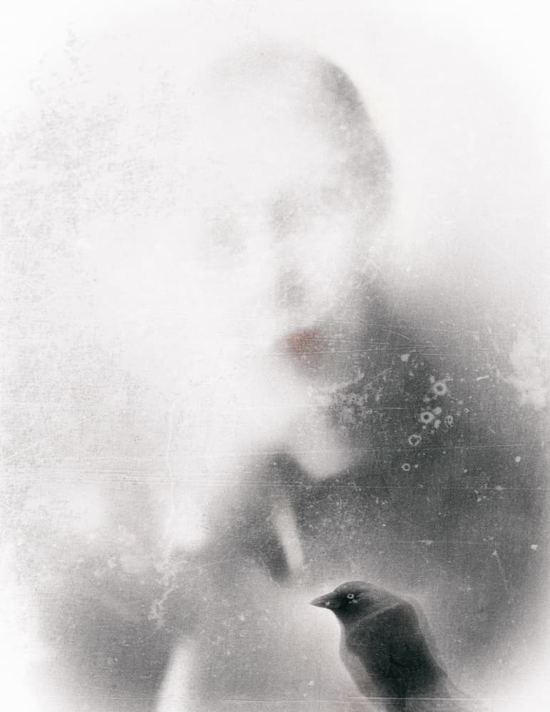 Ethereal Woman Dark Bird by Gilbert Claes — canvas wall art