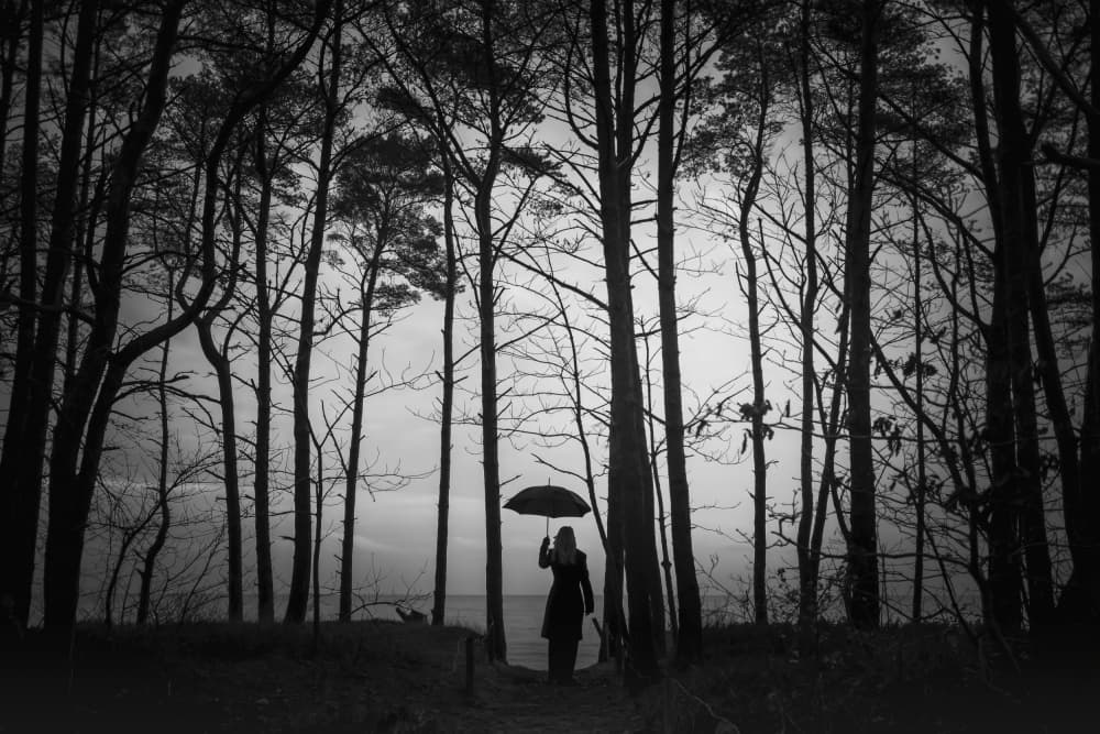 Solitary Umbrella In Forest by Michael Eßig — canvas wall art