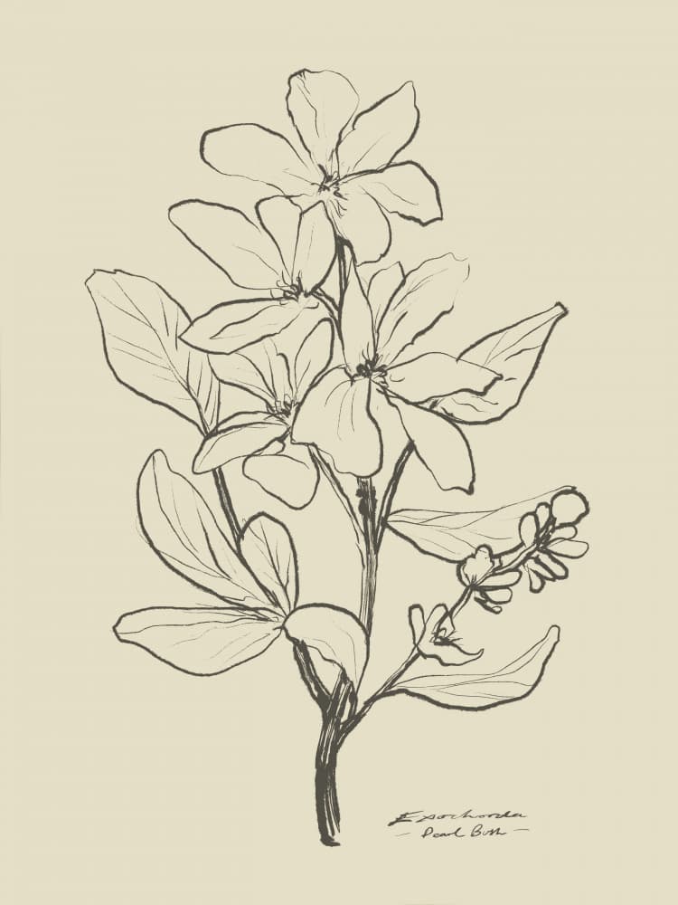 Floral 1 by Dan Hobday — canvas wall art