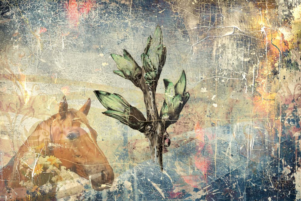 Vintage Horse And Buds by Rafal Kulik — canvas wall art