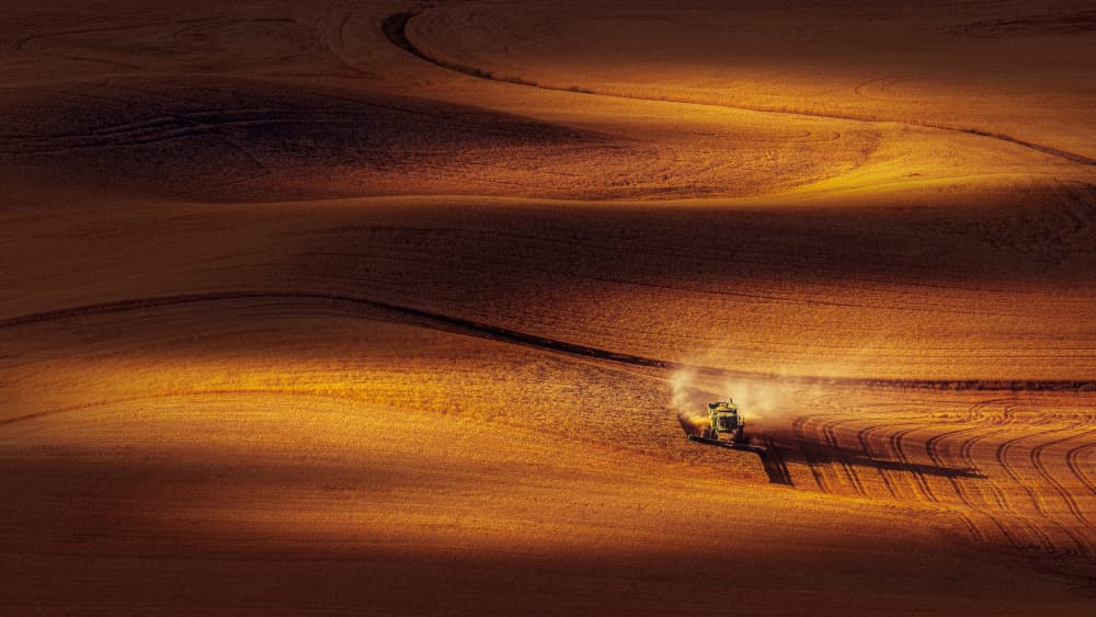 Harvesting Golden Fields by James Lu — canvas wall art