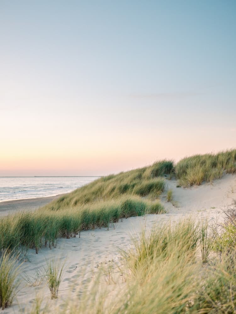 Dutch Dunes by Raisa Zwart — canvas wall art