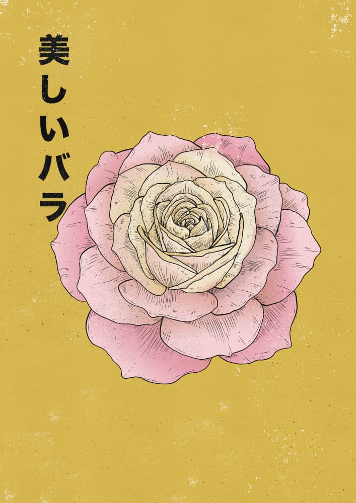 The Beautfiul Rose by Nicholas — canvas wall art