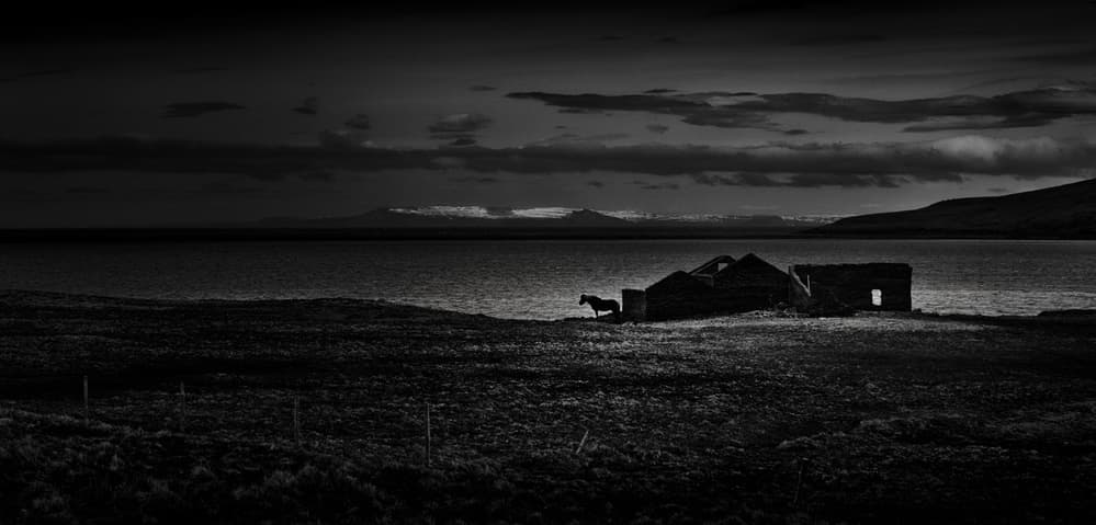 Lonely Horse Coastal Ruins by Peter Svoboda MQEP — canvas wall art