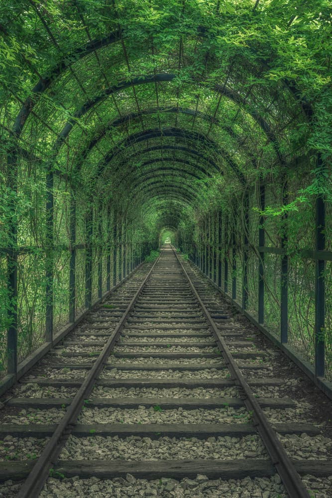 Enchanted Forest Railway by Mei Xu — canvas wall art