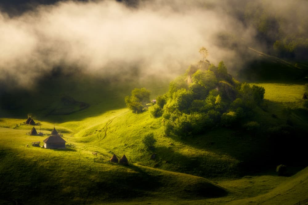 Golden Valley Morning by Ionut Petrea — canvas wall art