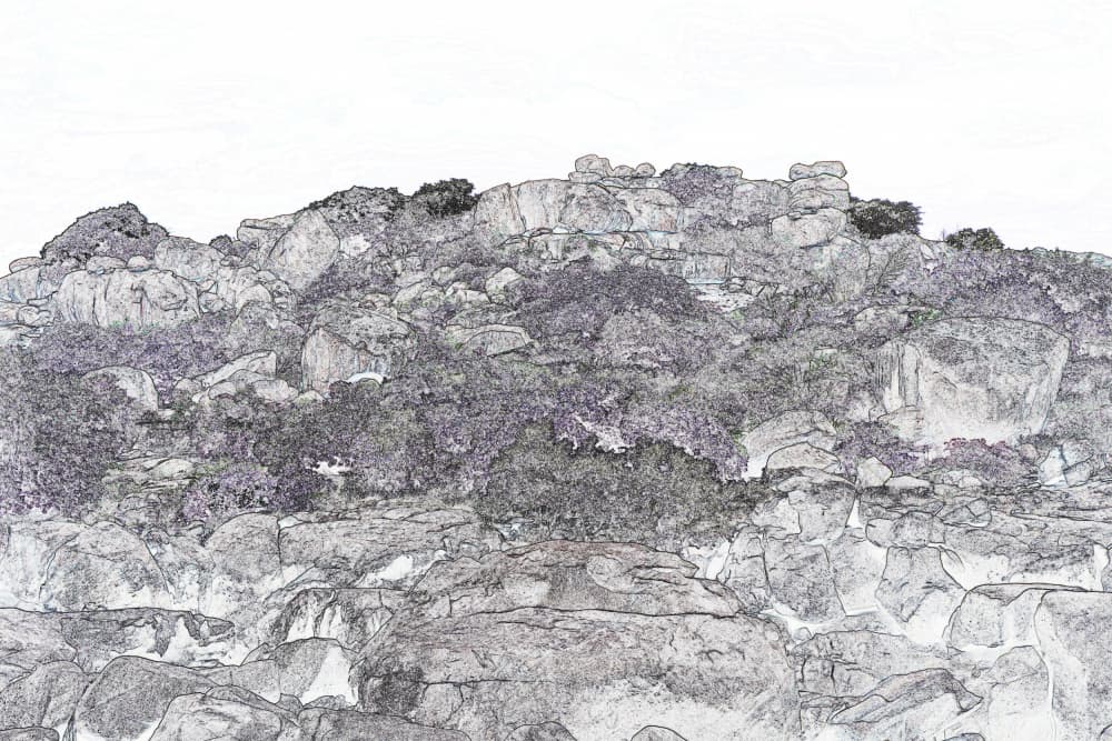 Rugged Hillside Landscape by Santhosh ch — canvas wall art
