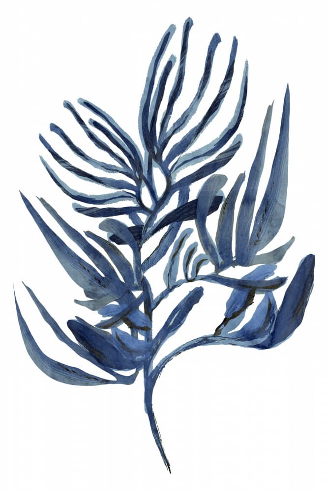 Indigo Botanical Study by cartissi — canvas wall art