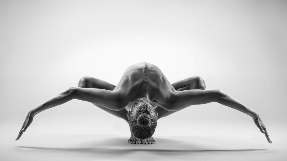 Graceful Body Sculpture by AURIMAS VALEVICIUS — canvas wall art