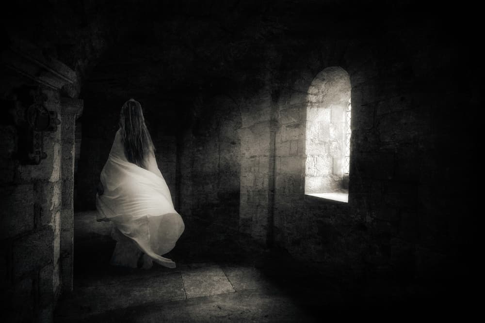 Ethereal Castle Woman by Charlaine Gerber — canvas wall art