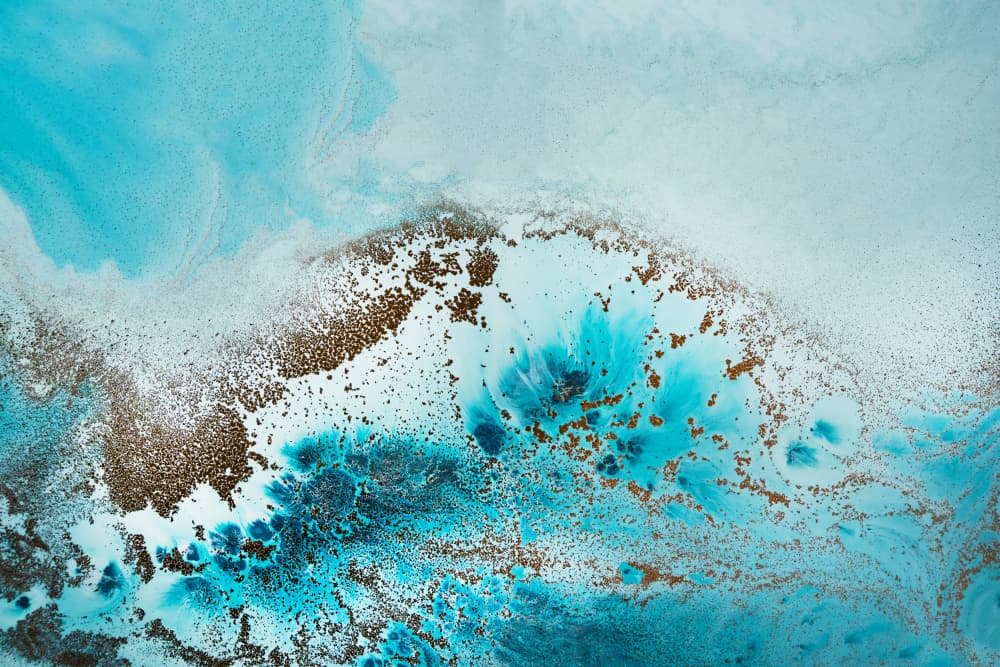 Coastal Luxe - Sea Life by Petra Meikle de Vlas — canvas wall art