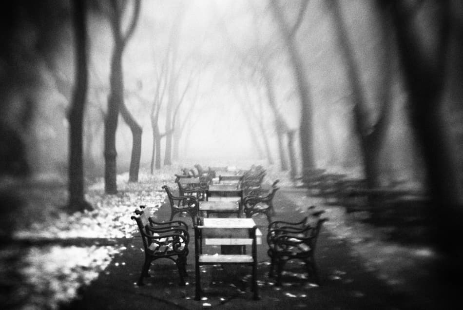 Misty Park Benches by Codrin Lupei — canvas wall art