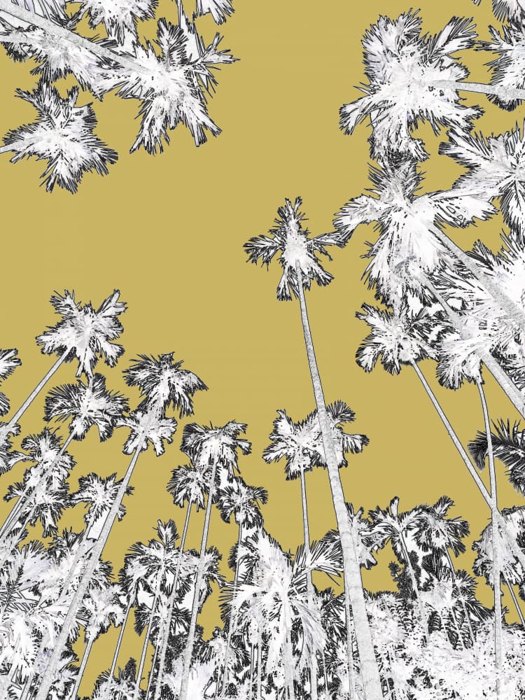 Yellow Sky Palm Canopy by Santhosh ch — canvas wall art