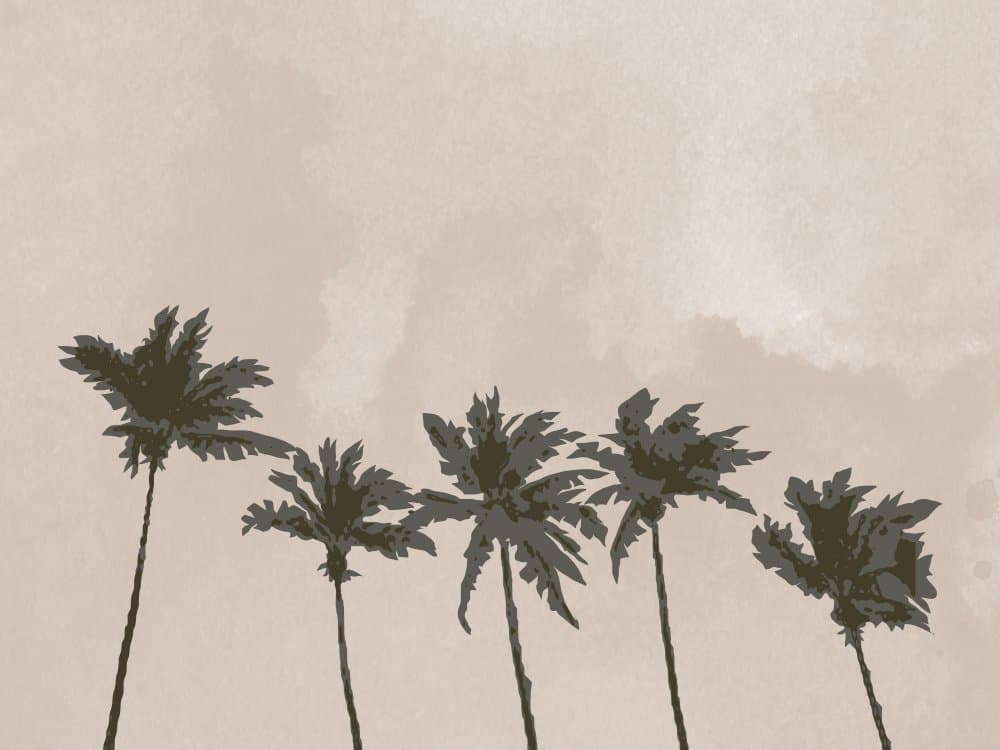Tropical Palms Silhouette by Pictufy Studio II — canvas wall art