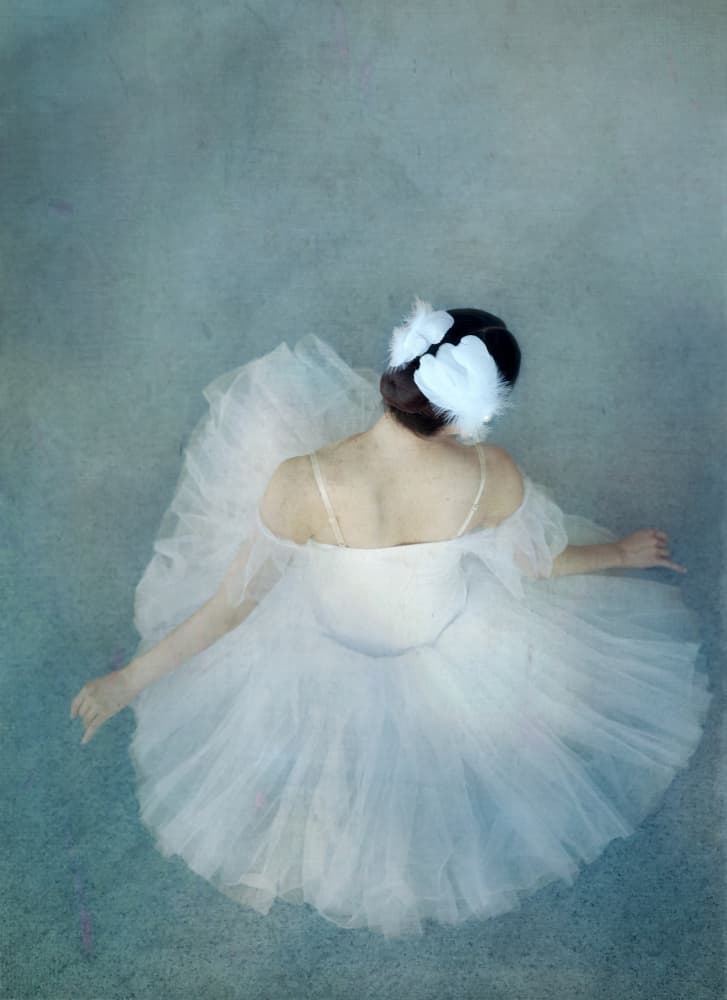 Elegant Ballerina Swan by Catherine Wang — canvas wall art