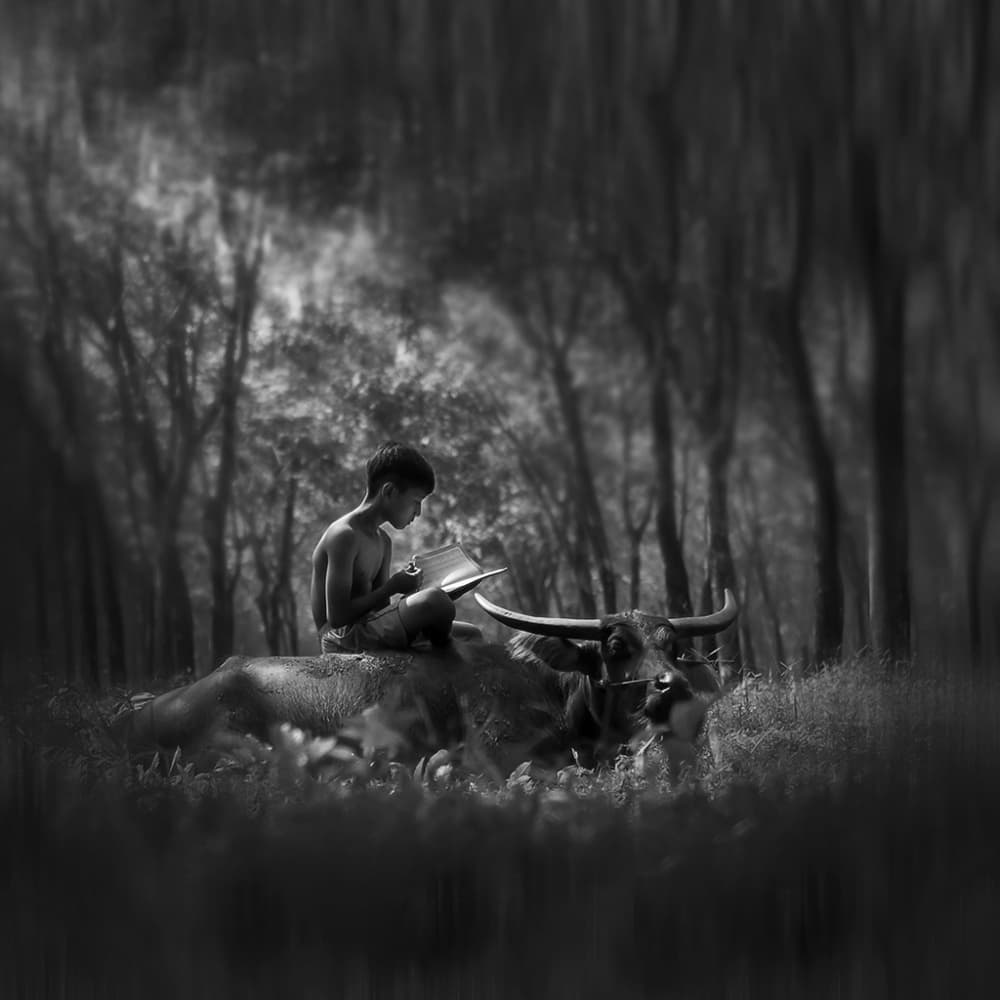 Boy Reading on Buffalo by Antonyus Bunjamin (Abe) — canvas wall art
