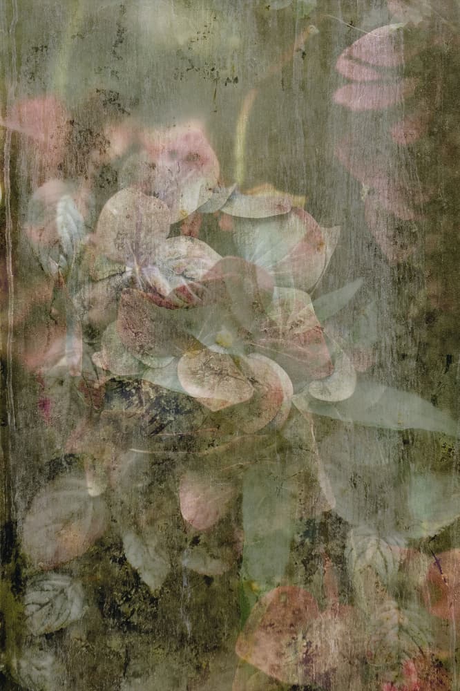 Faded Floral Texture by Pelin Atilla — canvas wall art